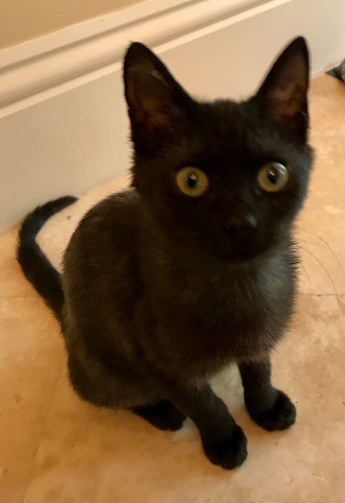 Java Bean
