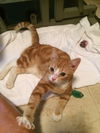 Marley