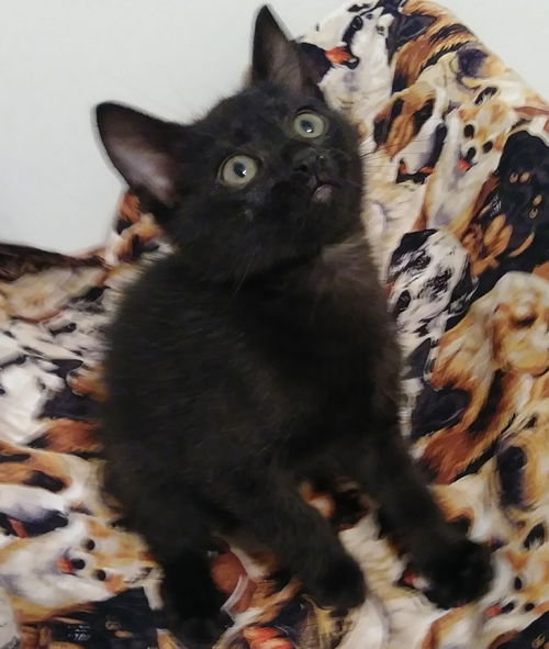 Zoey
