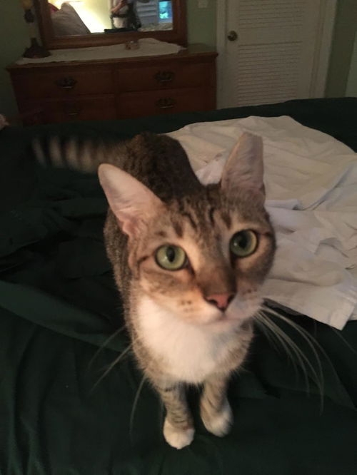 Kiki