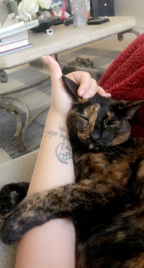 CeCe