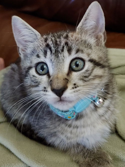 Ted