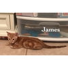 James