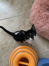 Tiny Dancer