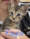 Kayce