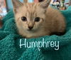 Humphrey