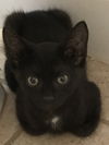 Malachi