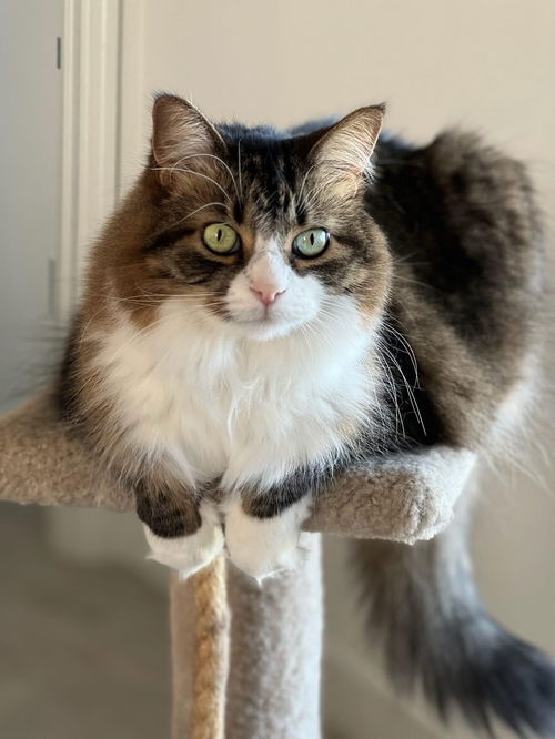 Marley