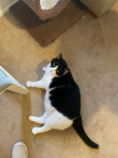 Kiki
