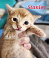 Stanley