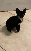 Thelma