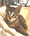Beatrice
