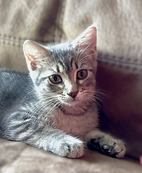 Rita
