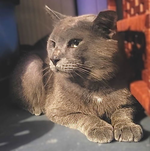 Biski