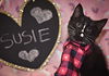 Susie