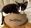 Skittles