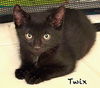 Twix
