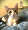Rex - Photo 1