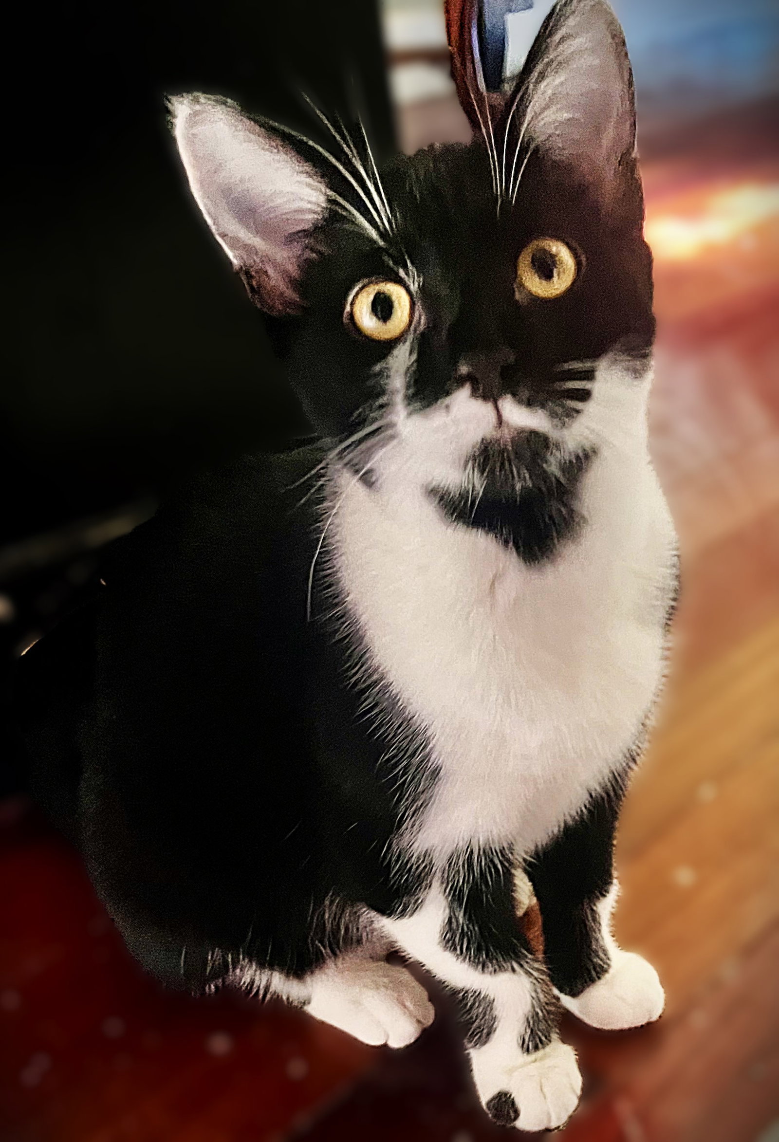 Margo Image