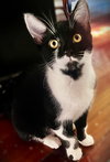 Margo - Photo 1