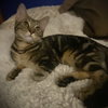 Betsy - Photo 1