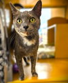 Maggie Lou - Photo 1