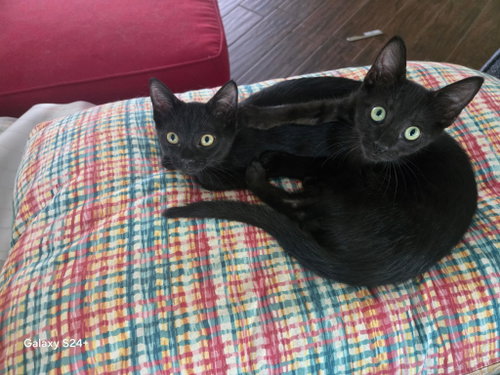 Marty and Mila