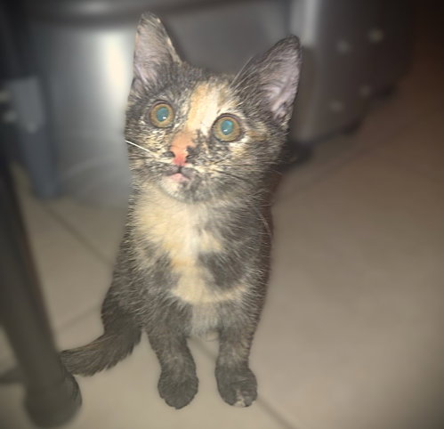 Karma photo 2