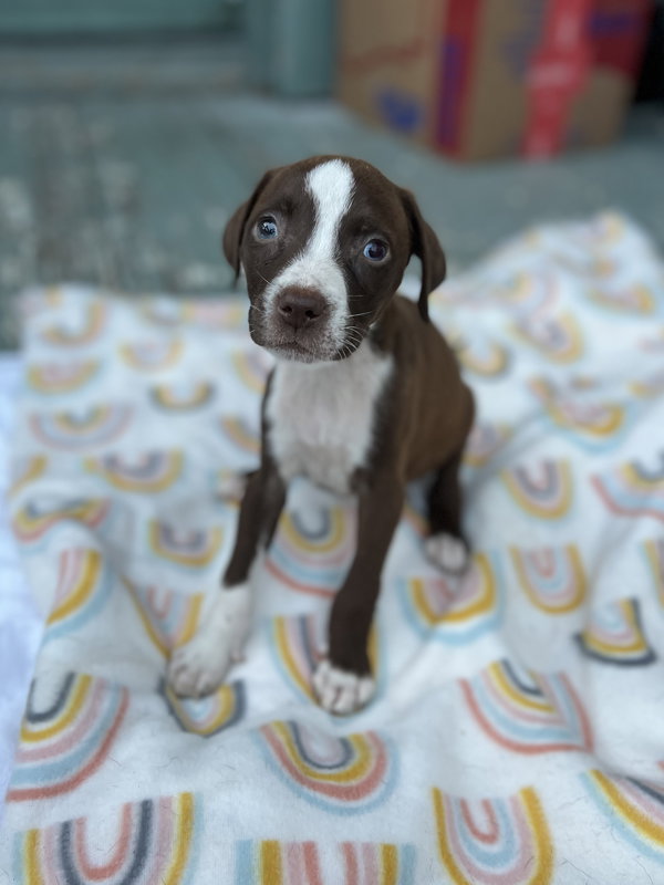 Winnie