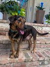Sally Sue - Photo 2