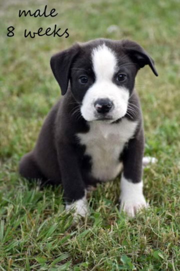 Charlie