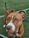 Winifred - Photo 2