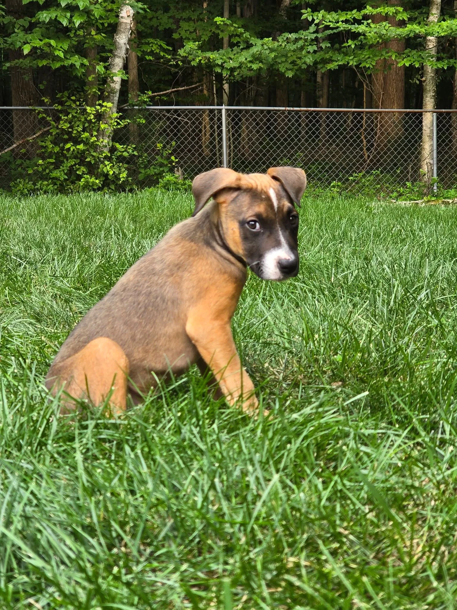 Mack