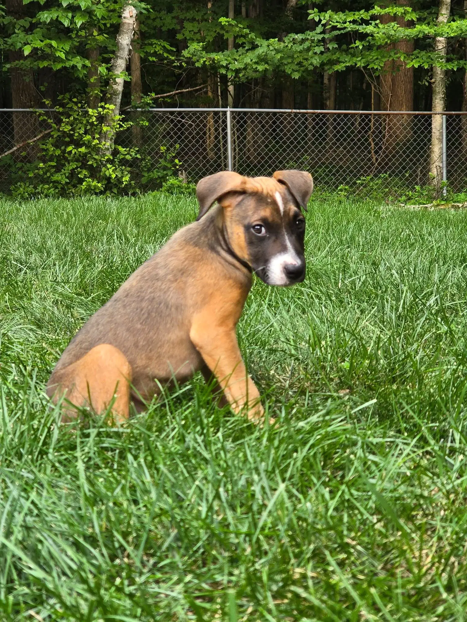 Mack image 2