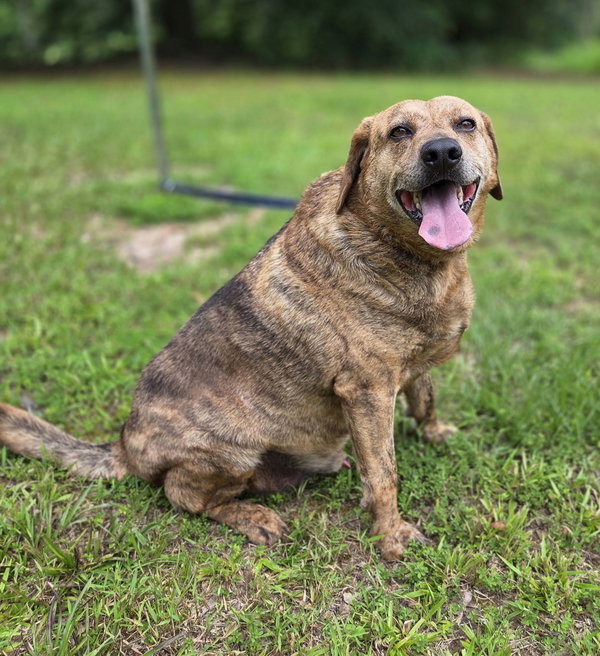 Waylon