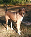 Nora - Photo 3