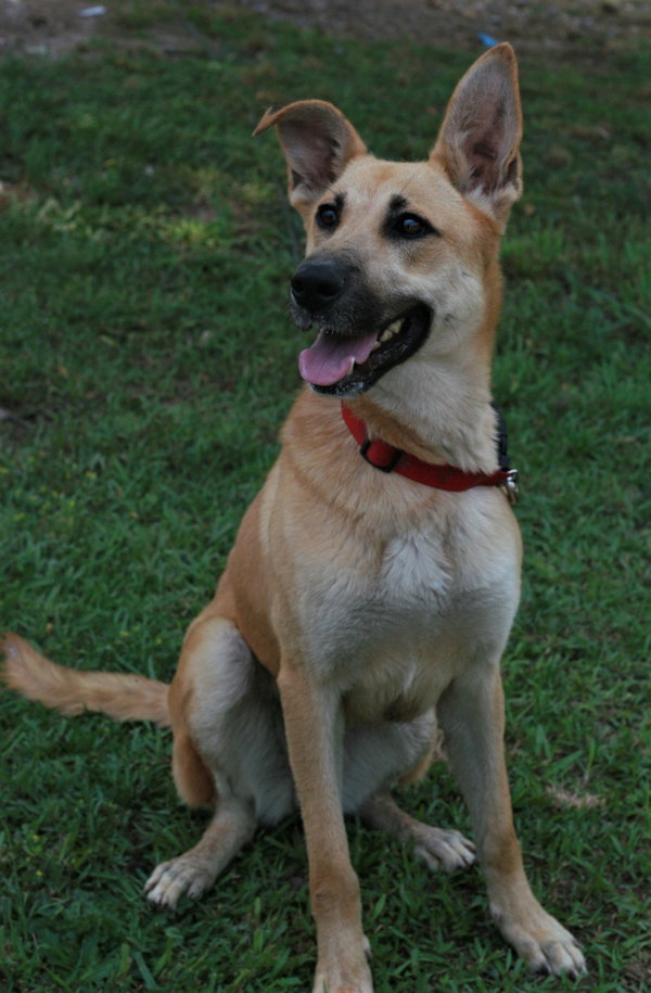 Skye