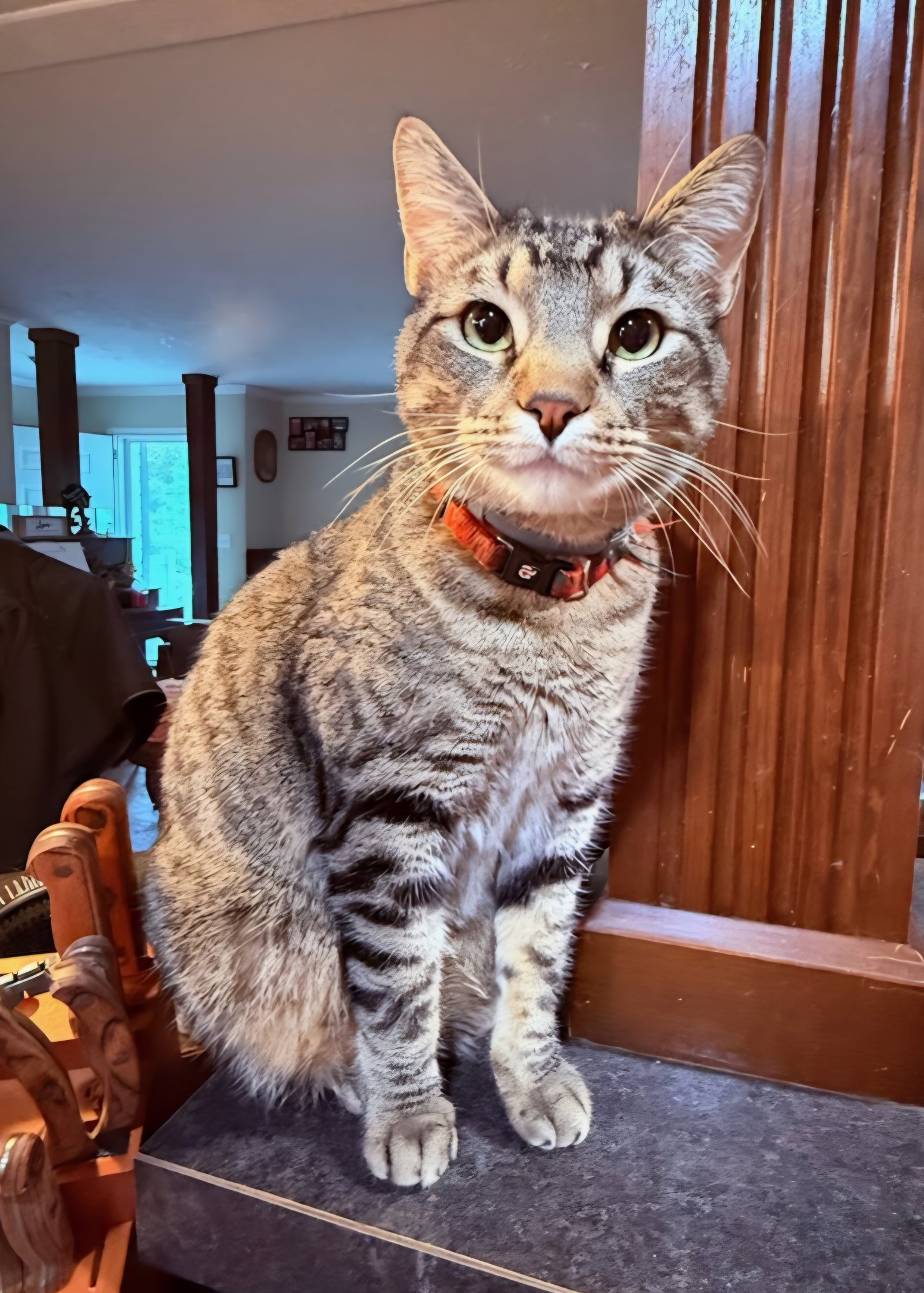 Leo