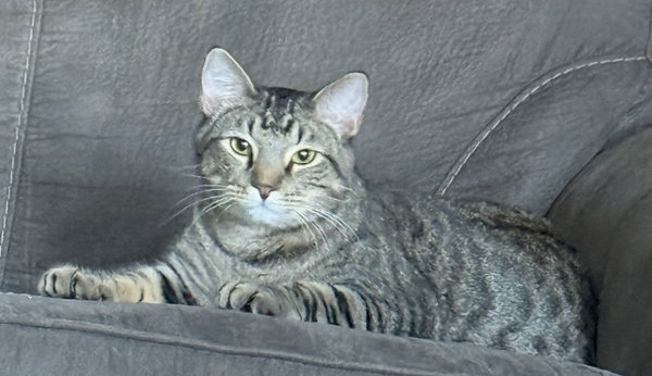 Leo