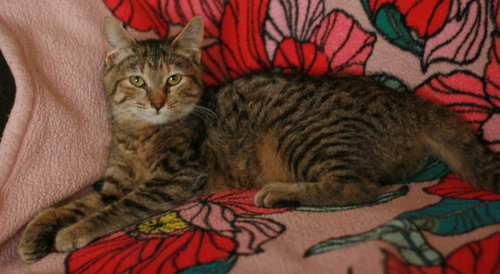 Estella photo 7