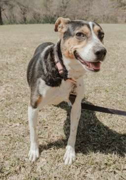 Daisey photo 2