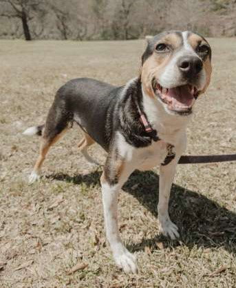 Daisey photo 3