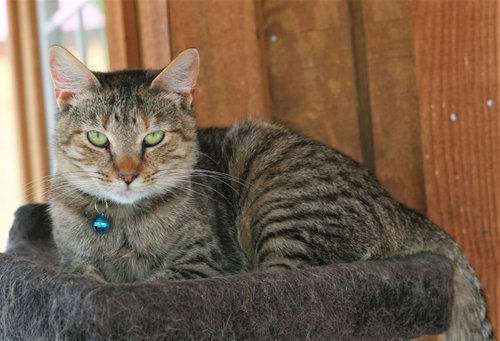 Photo 6 of Estella