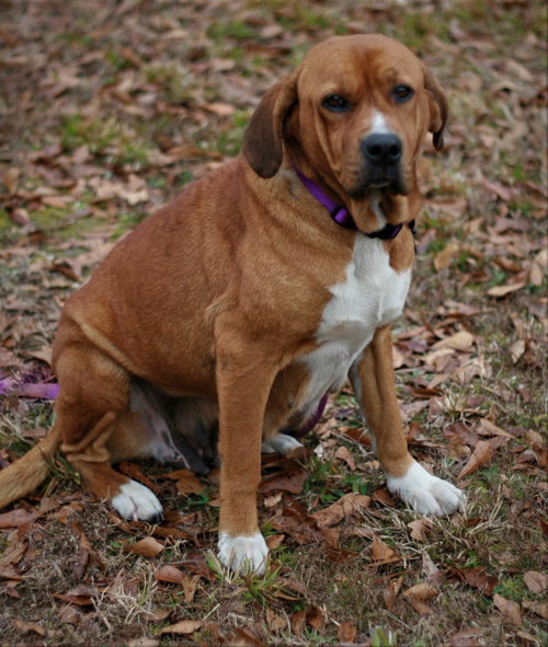 Hannah, photo 9