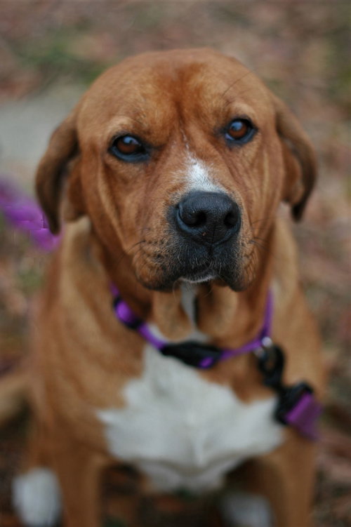 Hannah, photo 11