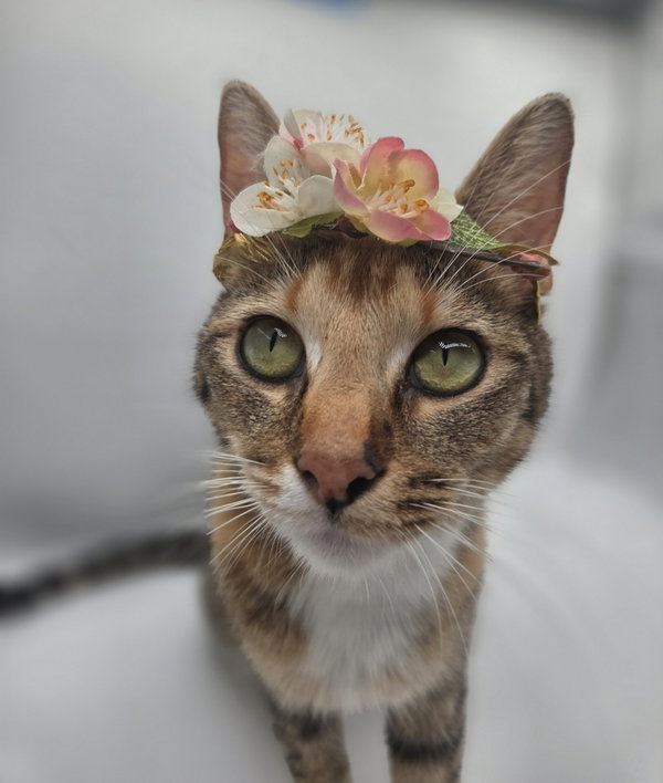 Lola May