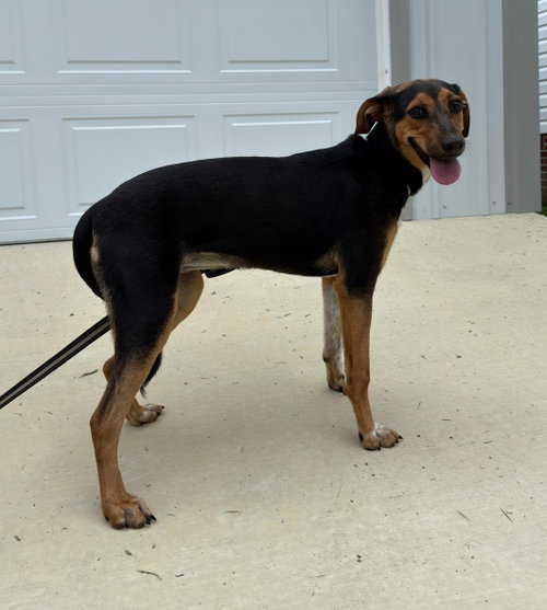 Photo 2 of Ruby