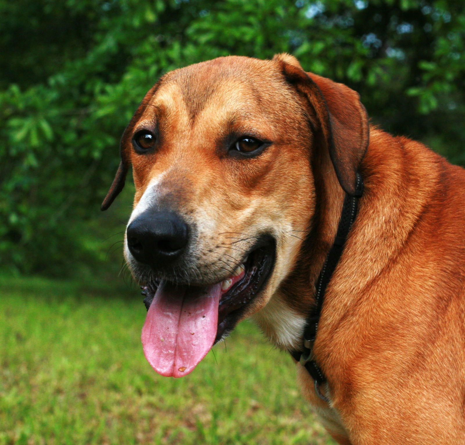 Oscar, photo 9