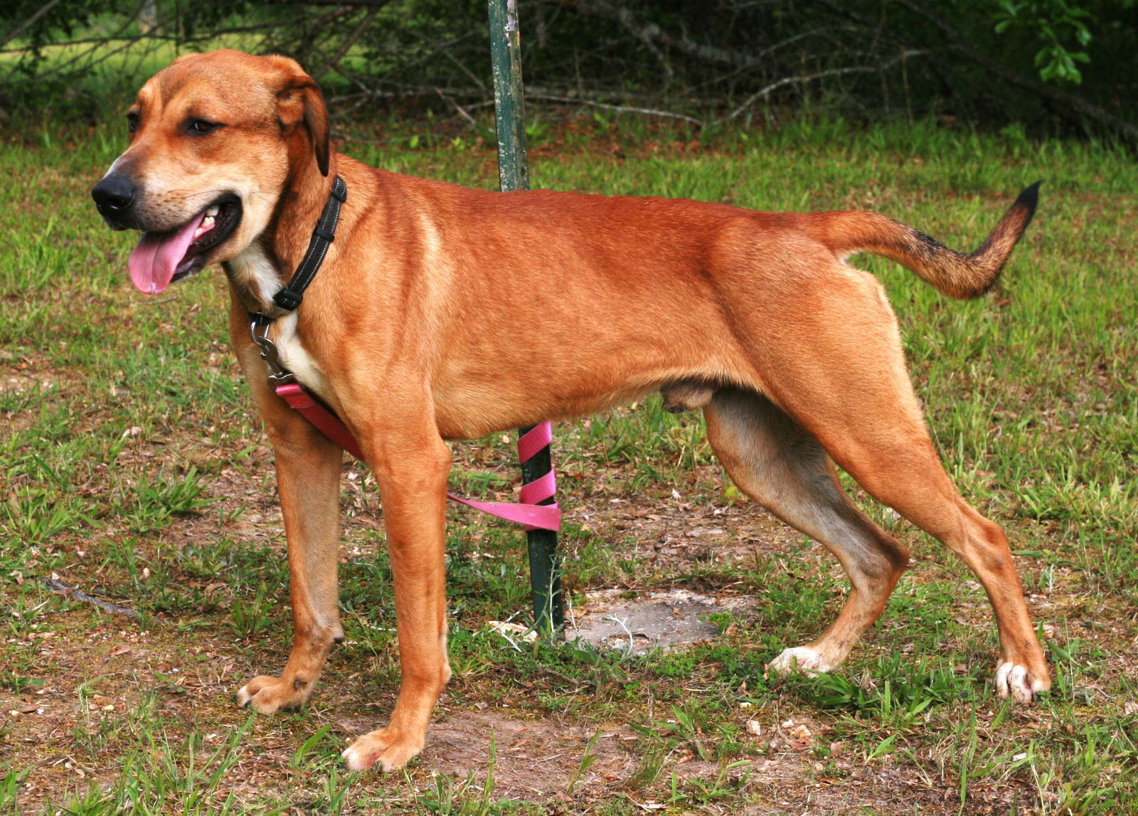 Oscar, photo 10