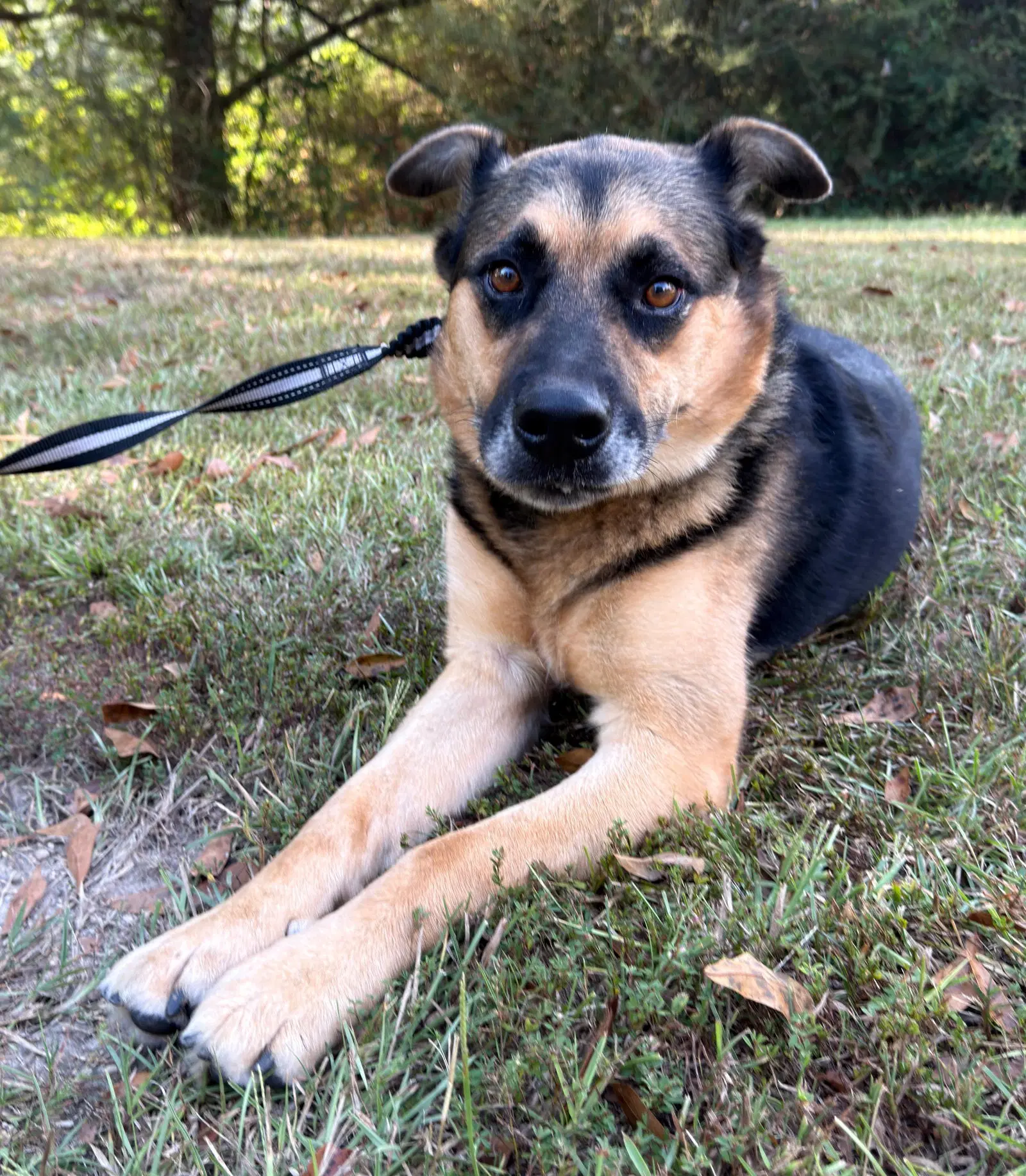Verity image 3